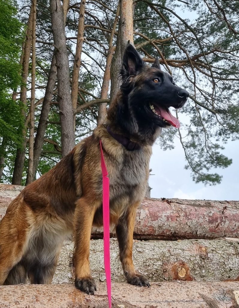 Phara of baxley