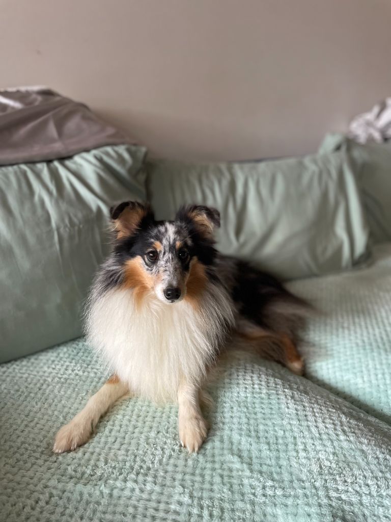 Victoria abril Vanora Jone's